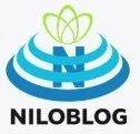 اصول تربیت از دیدگاه امام علی(ع)